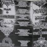 The Aryan Propaganda